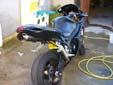 miniature 1000 gsxr tribal