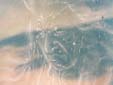 peinture sur peau tendue